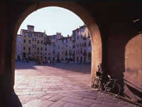 Lucca